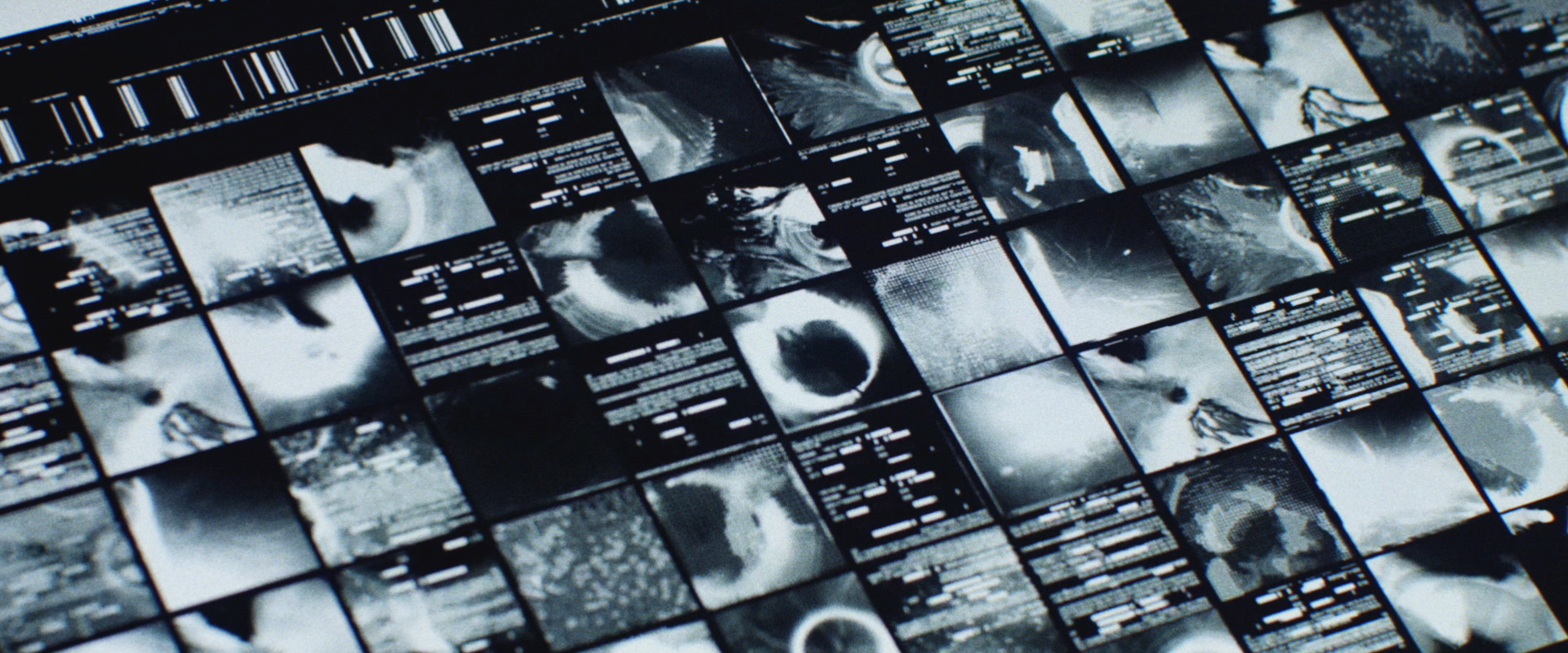 Animus Motion Graphics Reel