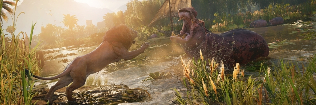 Taming the Wild