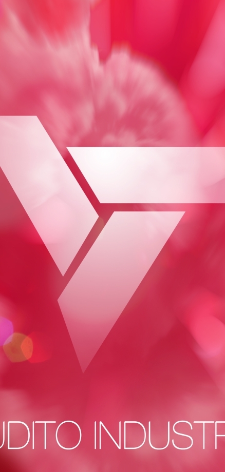 THE ERUDITE COLLECTIVE